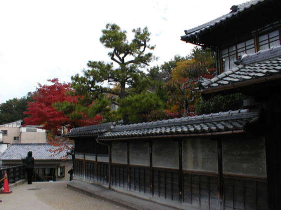 kmiyajima7